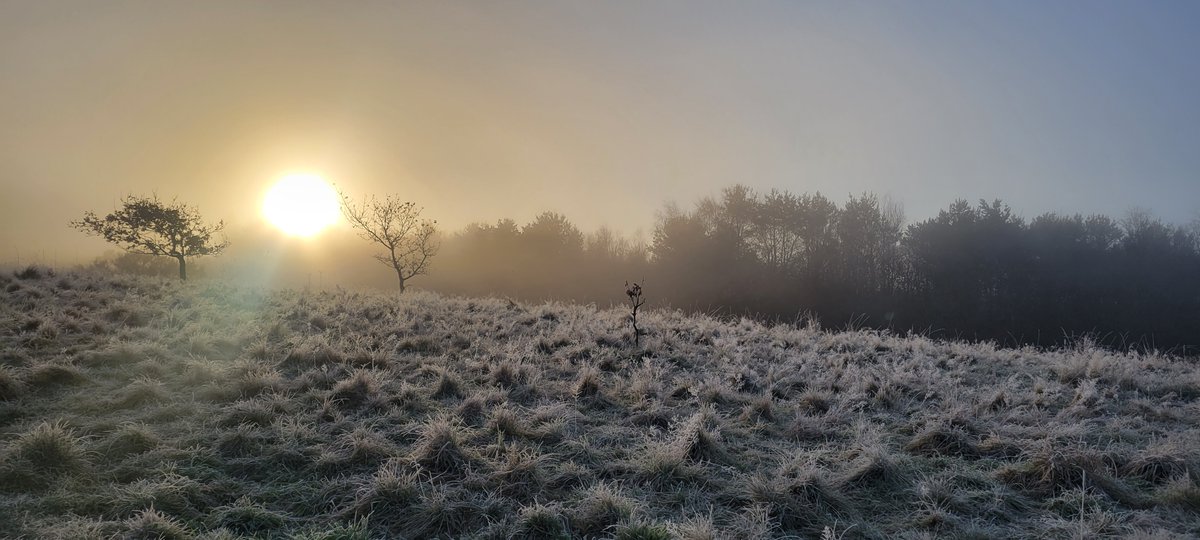 Carter Ferguson ⚔ 🏴󠁧󠁢󠁳󠁣󠁴󠁿 #FightDirector tweet media