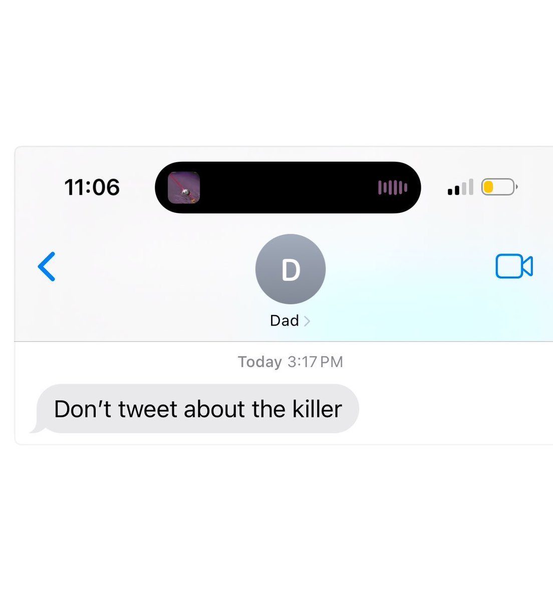 Isabel Steckel tweet media