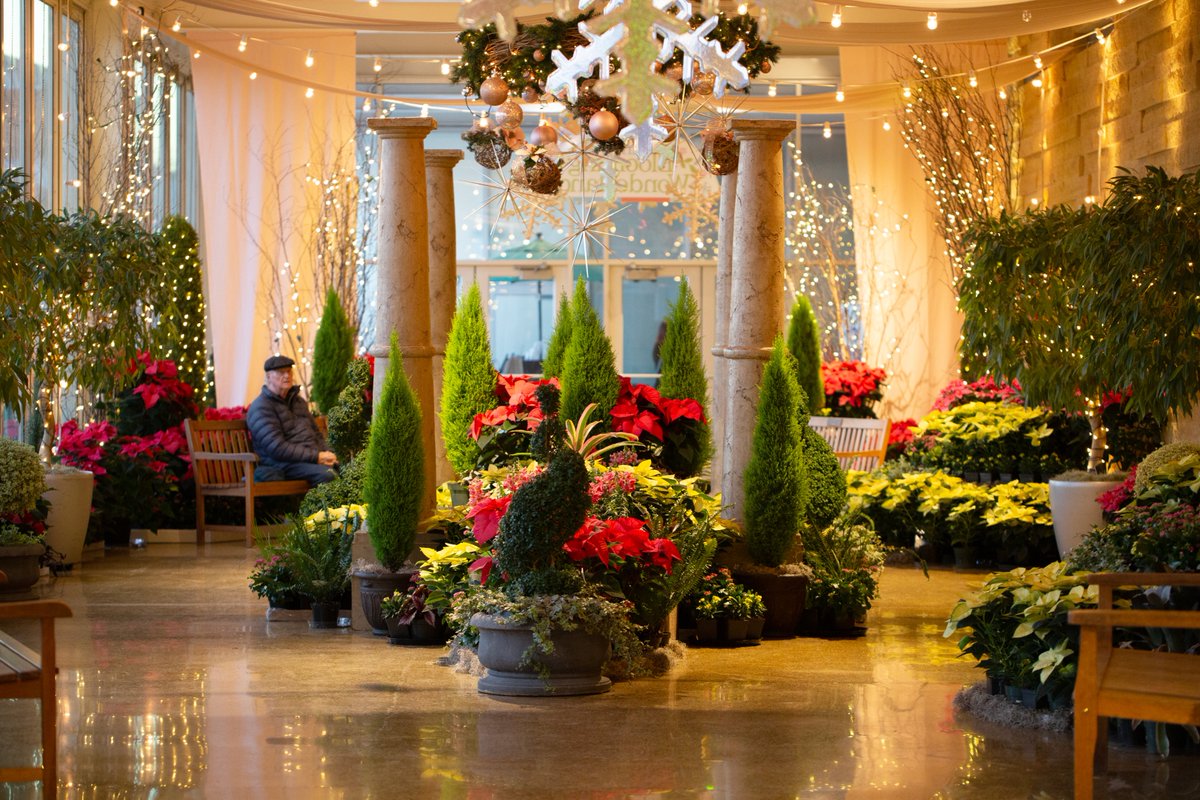 ComoZoo's tweet photo. Seniors 55+! Join us today, Dec. 10, 4:30-6:00pm, for Sunset Senior Strolls at the Conservatory. Enjoy the Winter’s Blooming Wonderland exhibit in a peaceful, after-hours setting.

Register FREE here: https://t.co/uSX84gv2Z5 🌺
#SeniorStrolls #MyMMC #WinterWonderland https://t.co/vQPy8TeHWe