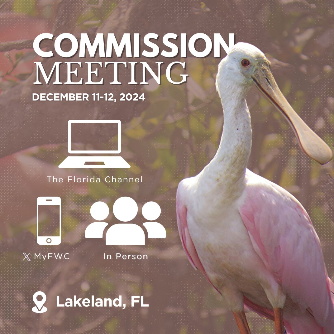 MyFWC's tweet image. Starting tomorrow: #Florida Fish &amp;amp; #Wildlife Commission Meeting starts at 8:30 EDT each day. Open to public. 

Agenda: bit.ly/FWC_DecCommiss… #Lakeland #FWC2024