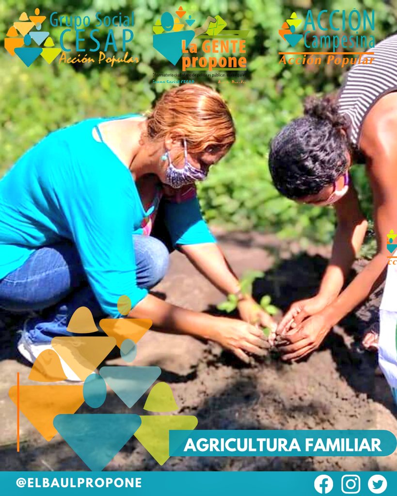 ElBaulPropone's tweet image. #ElBaúl || La agricultura es vital para el progreso y desarrollo de las comunidades rurales, porque ayuda a aumentar los ingresos económicos, garantiza la seguridad alimentaria y mejora la calidad de vida de las familias.

#AcciónCampesina
#LaGentePropone
#SomosCesap