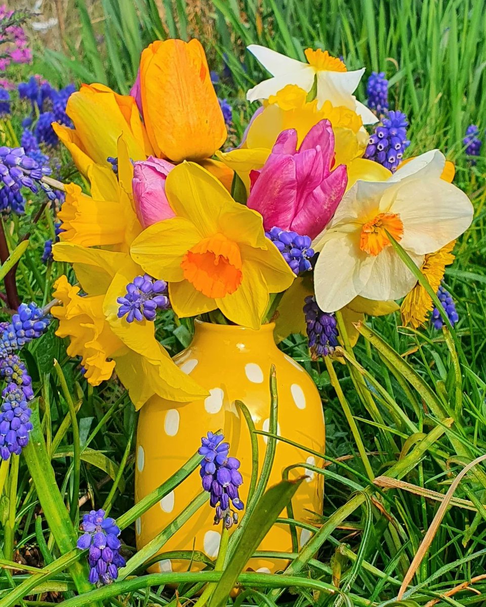 I don't know who needs to hear this, but it's 100 days until spring 🥰 #GardeningX