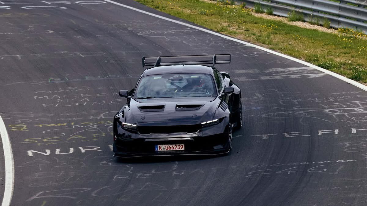 Franky Mostro tweet media