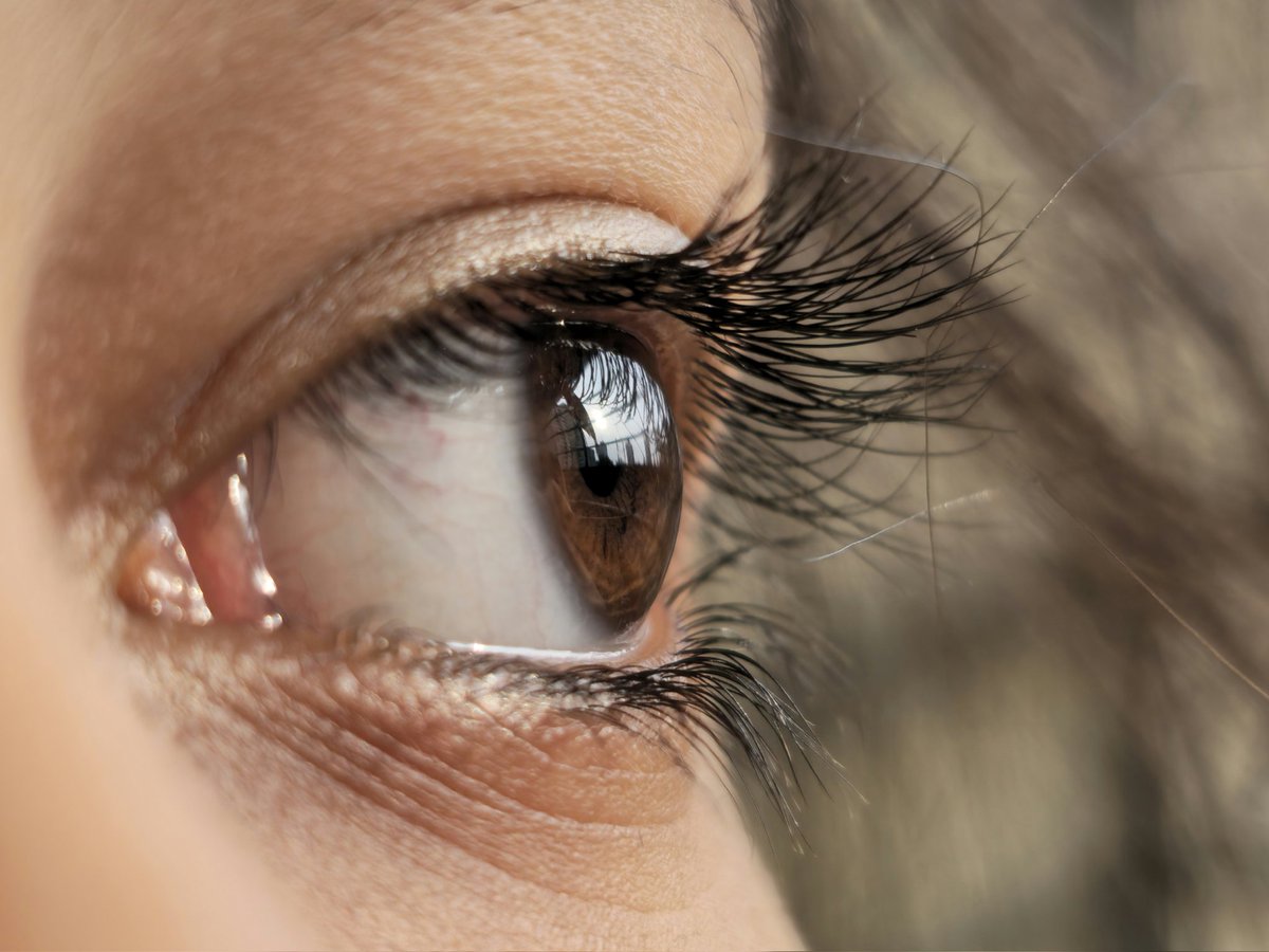 Entroprox's tweet image. Galaxy S23 Ultra Macro shot 📸

A or B?