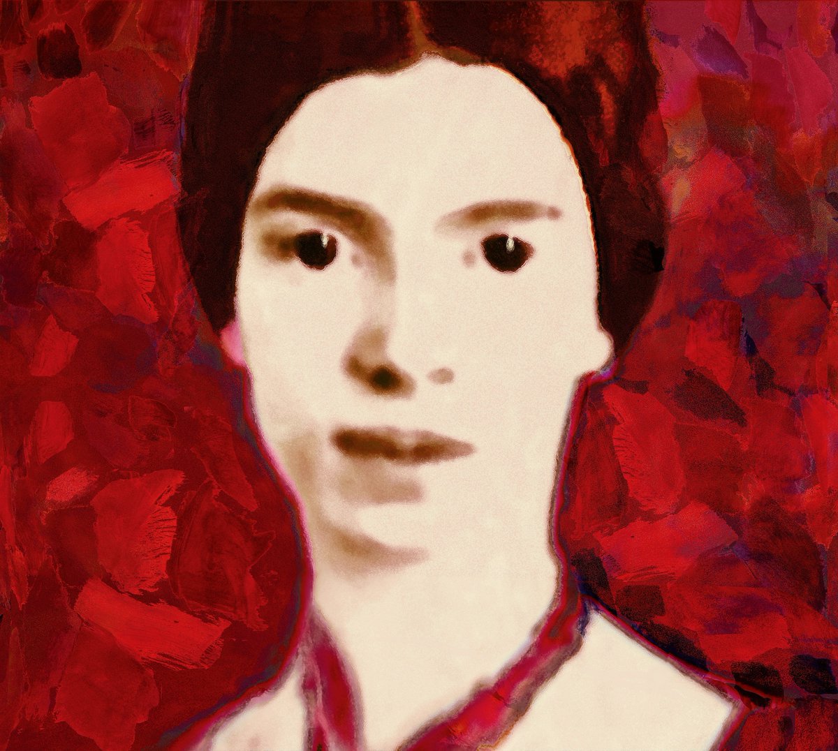 Anne Vanschothorst tweet media