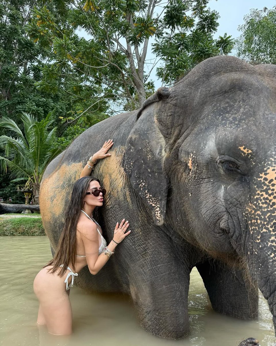 PaolaDeboche's tweet image. 🚨BABADO!! Os Docshoes desconfiam que Sapato e Dania estão tendo um caso. 

Depois dos rumores, Cara De Sapato desativou o IG. 😱