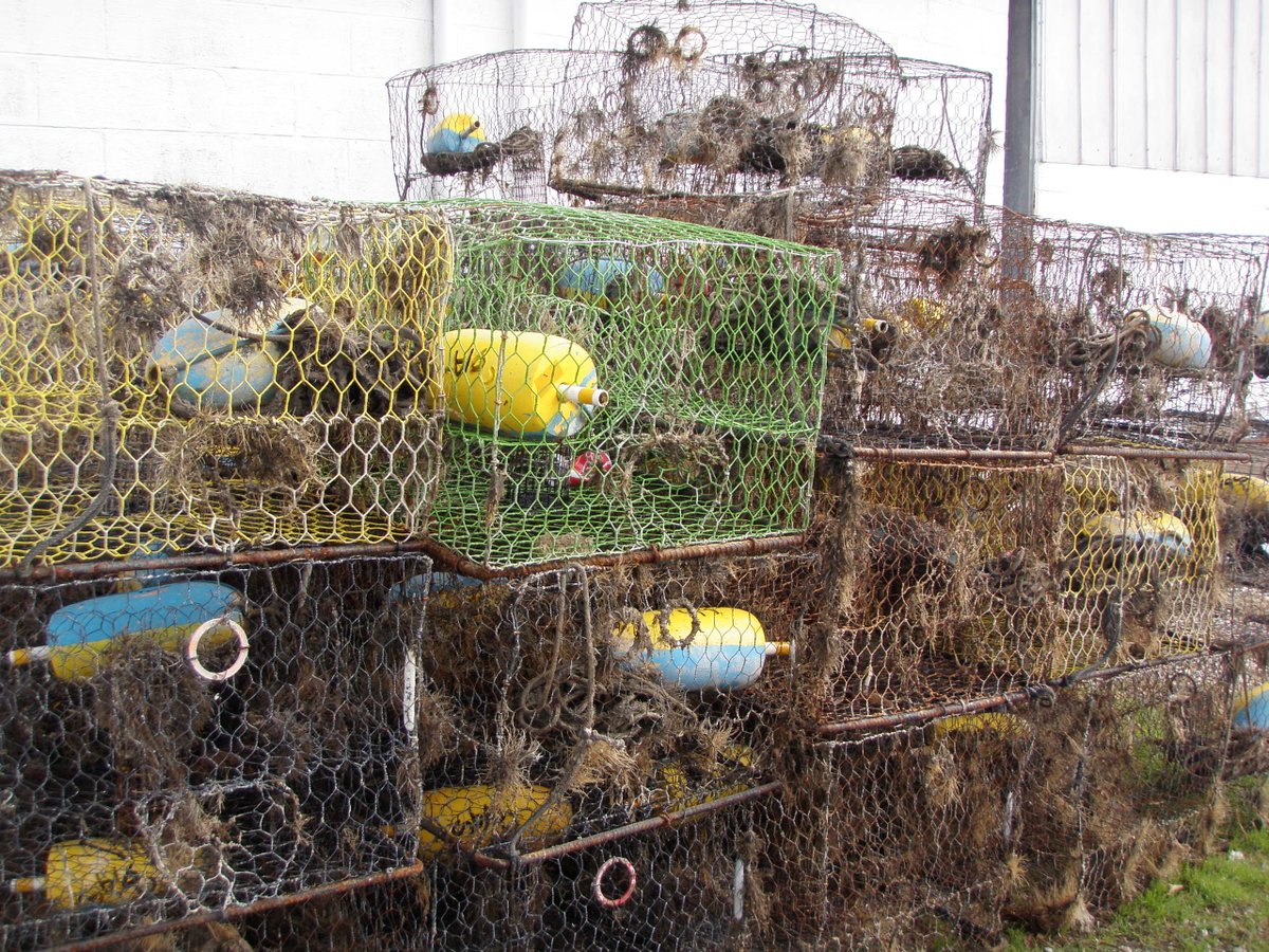 NOAA Marine Debris Program (@noaadebris) on Twitter photo We are pleased to announce, with <a href="/VIMS_News/">Virginia Institute of Marine Science</a> , 11 projects under the Nationwide Fishing Trap Removal, Assessment, and Prevention (TRAP) Program to support #MarineDebris removal with #funding provided by the Bipartisan Infrastructure Law #LearnMore blog.marinedebris.noaa.gov/first-round-pr… We are pleased to announce, with <a href="/VIMS_News/">Virginia Institute of Marine Science</a> , 11 projects under the Nationwide Fishing Trap Removal, Assessment, and Prevention (TRAP) Program to support #MarineDebris removal with #funding provided by the Bipartisan Infrastructure Law #LearnMore blog.marinedebris.noaa.gov/first-round-pr…