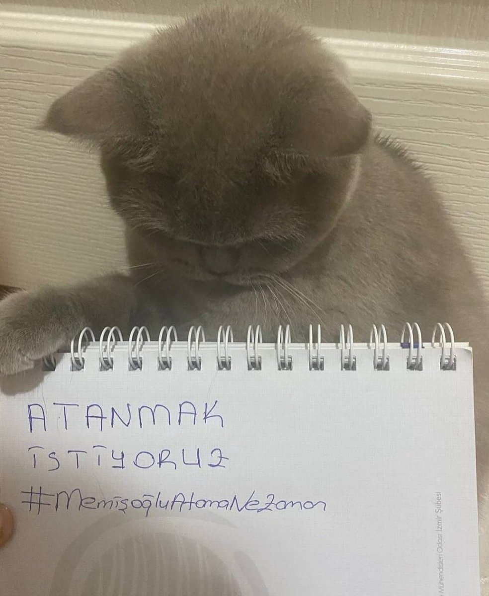 #SağlığaTasarrufsuzAtama