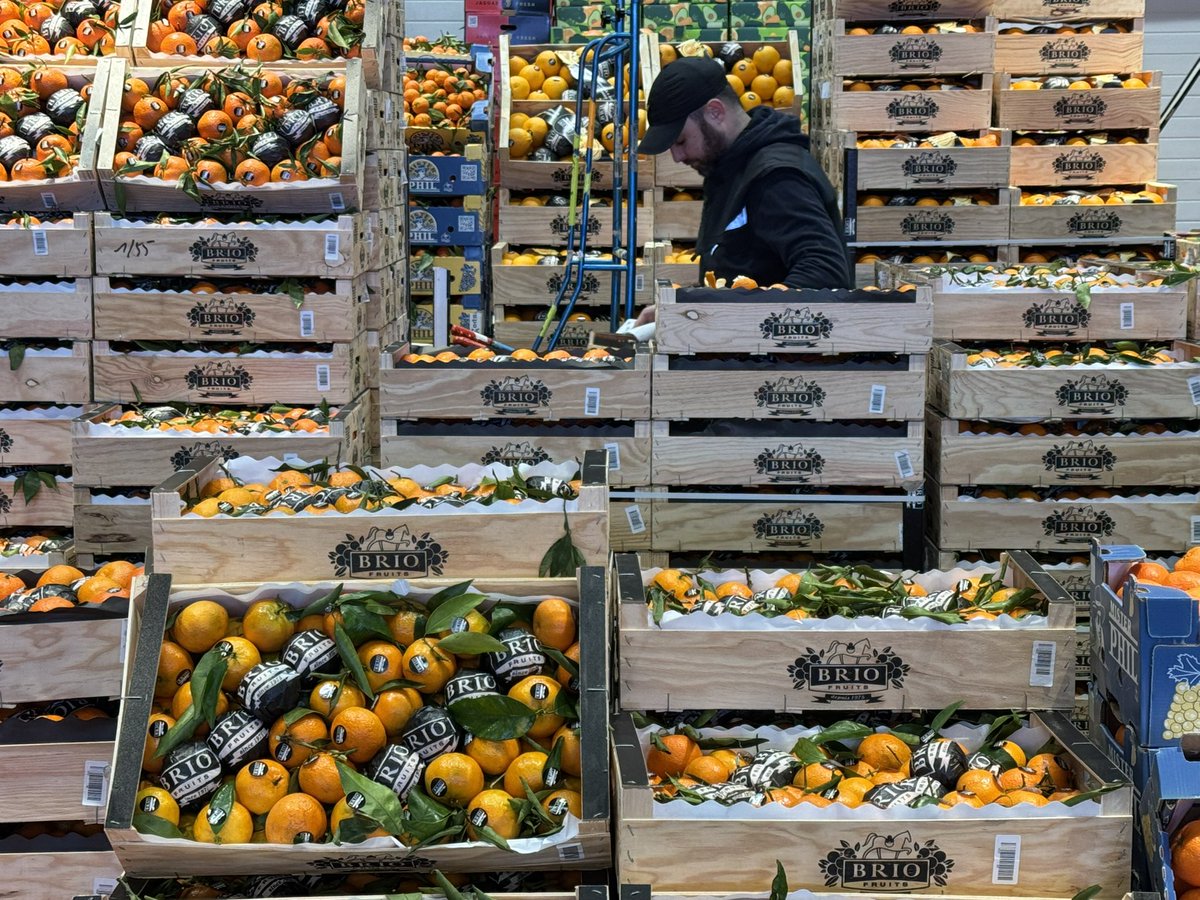 Une nuit au marché d’intérêt national de Rungis, à 15 jours de Noël. 
<a href="/franceinfo/">franceinfo</a>