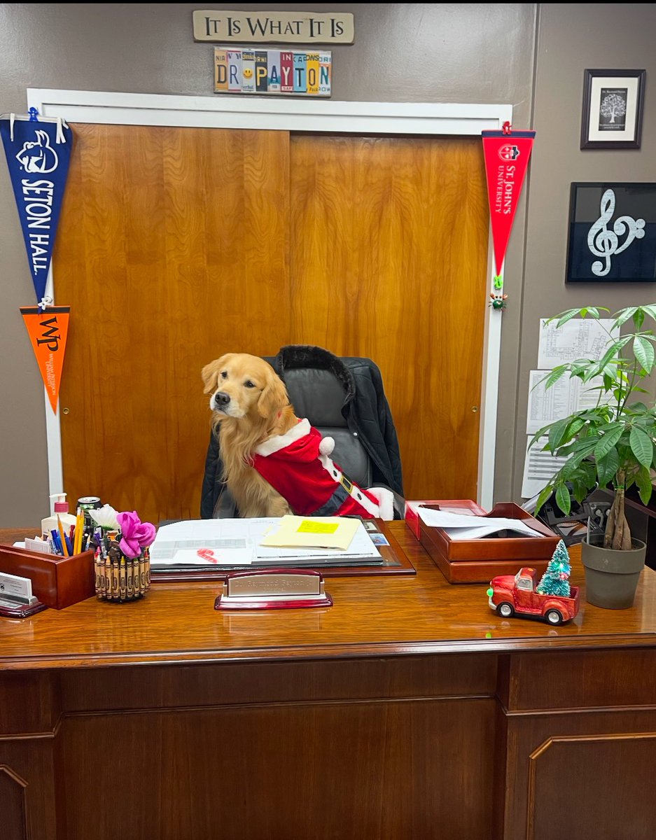 During the holidays things at work can get a little ruff, so Principal Remy likes to paws and reflect on the good treats in life. As Memorial School's temporary principal, Remy reminds kids to furcus on their studies &amp; always leave time for long walks and belly rubs.🐾🐾