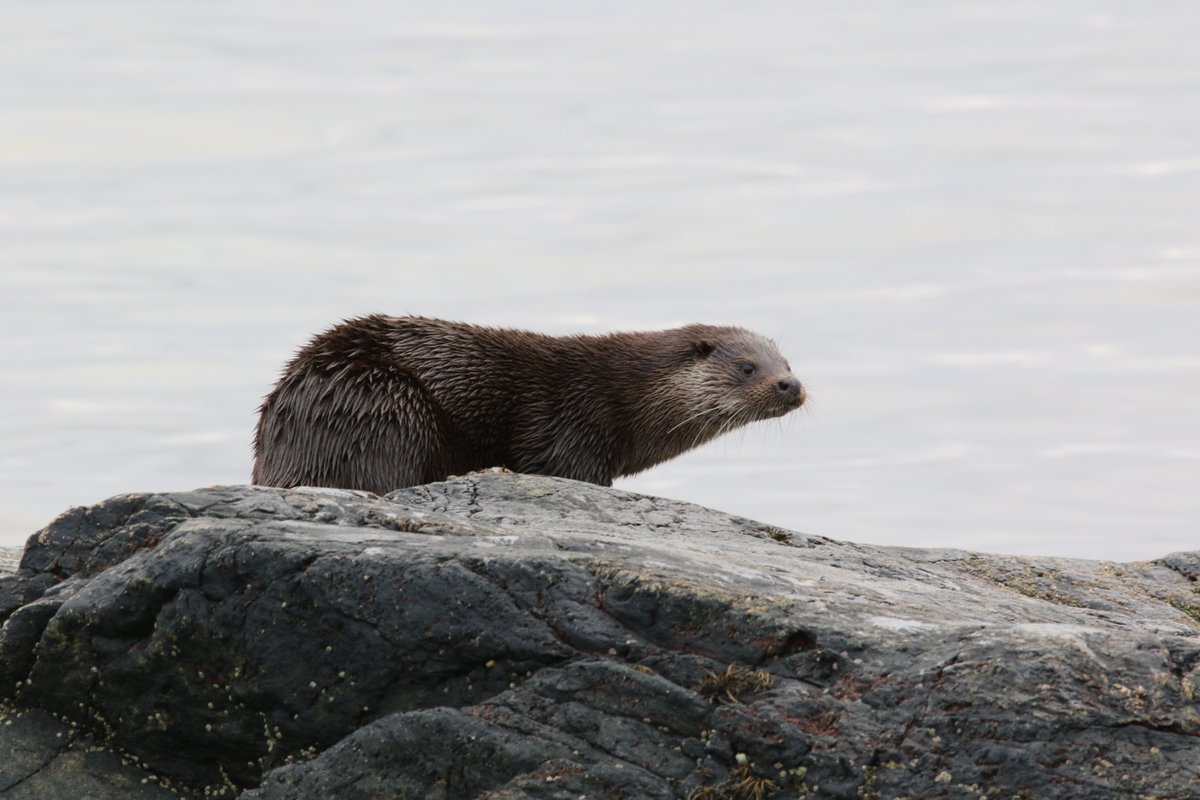 Gary Turnbull tweet media