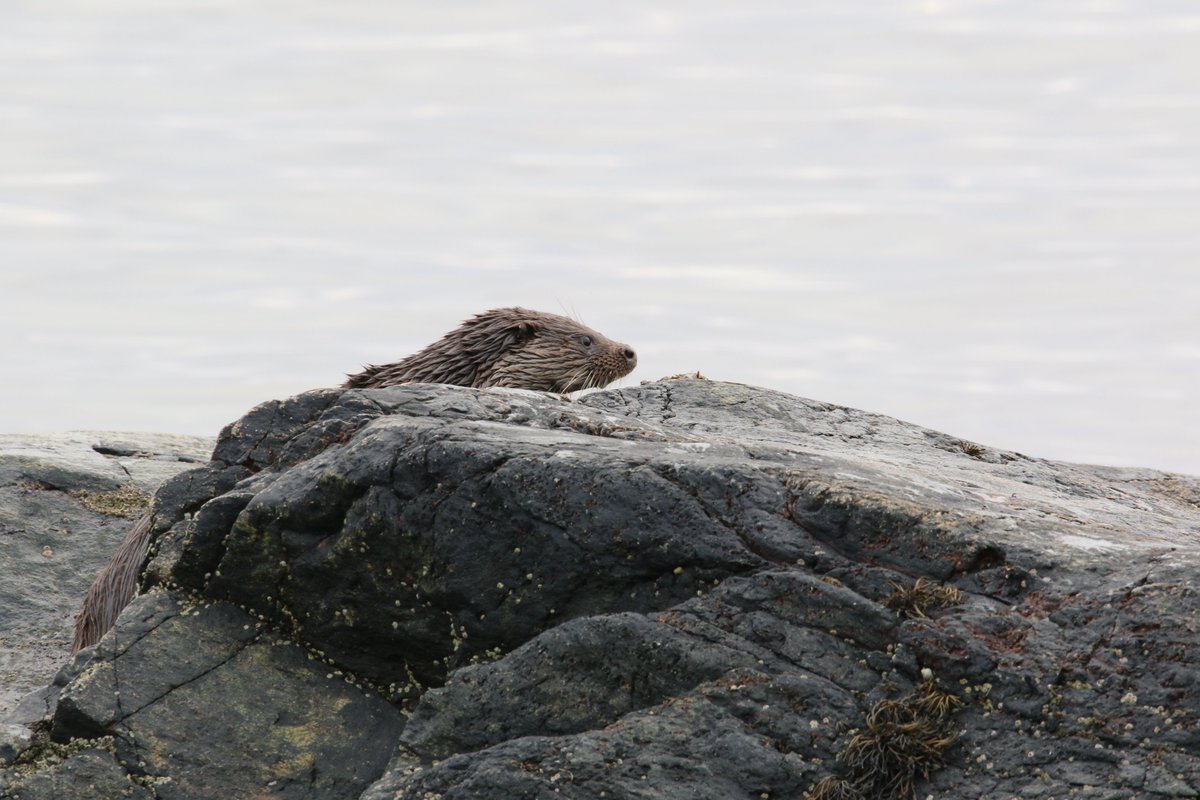 Gary Turnbull tweet media