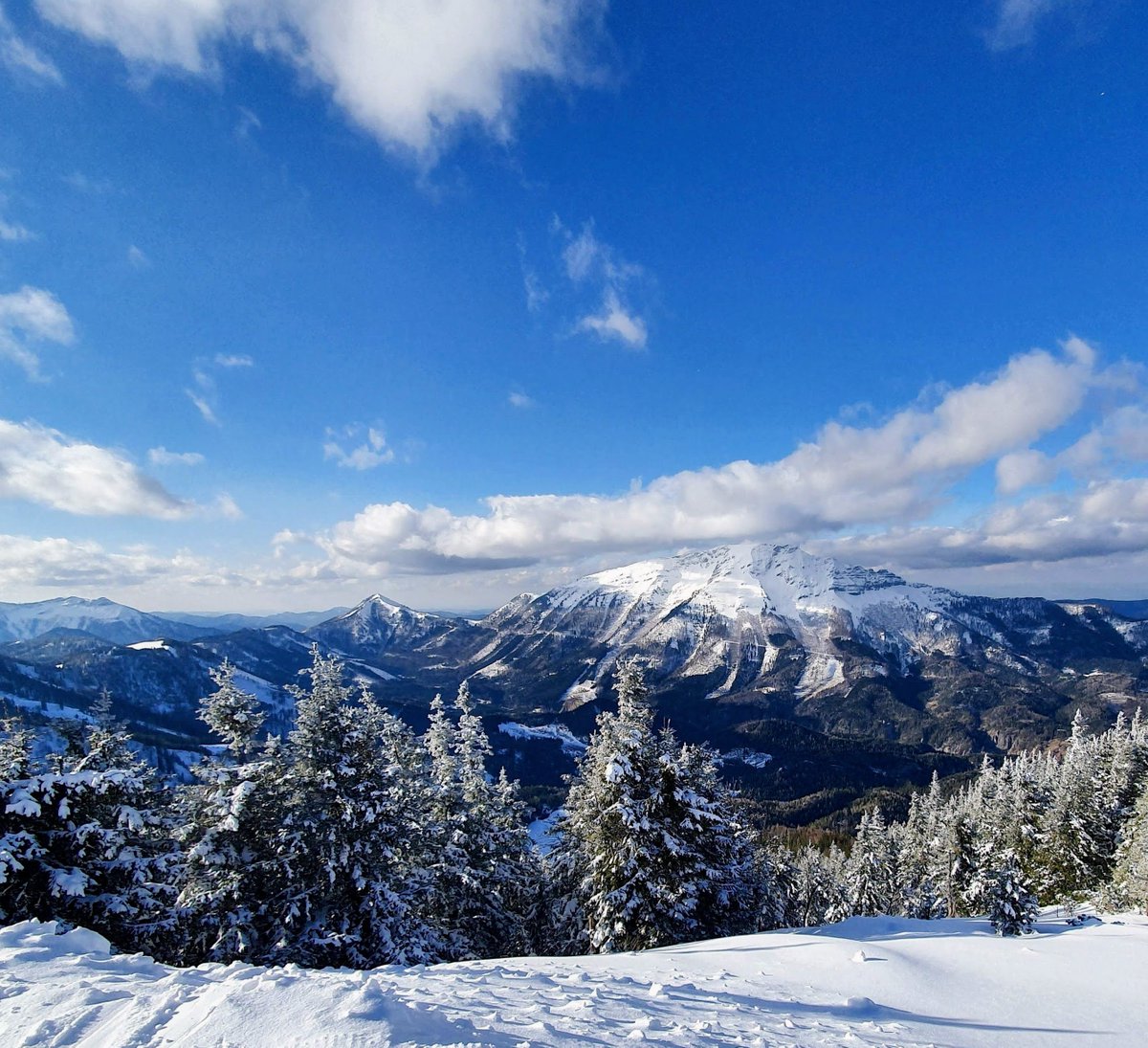 SchwarzeneggerClimateInitiative tweet media