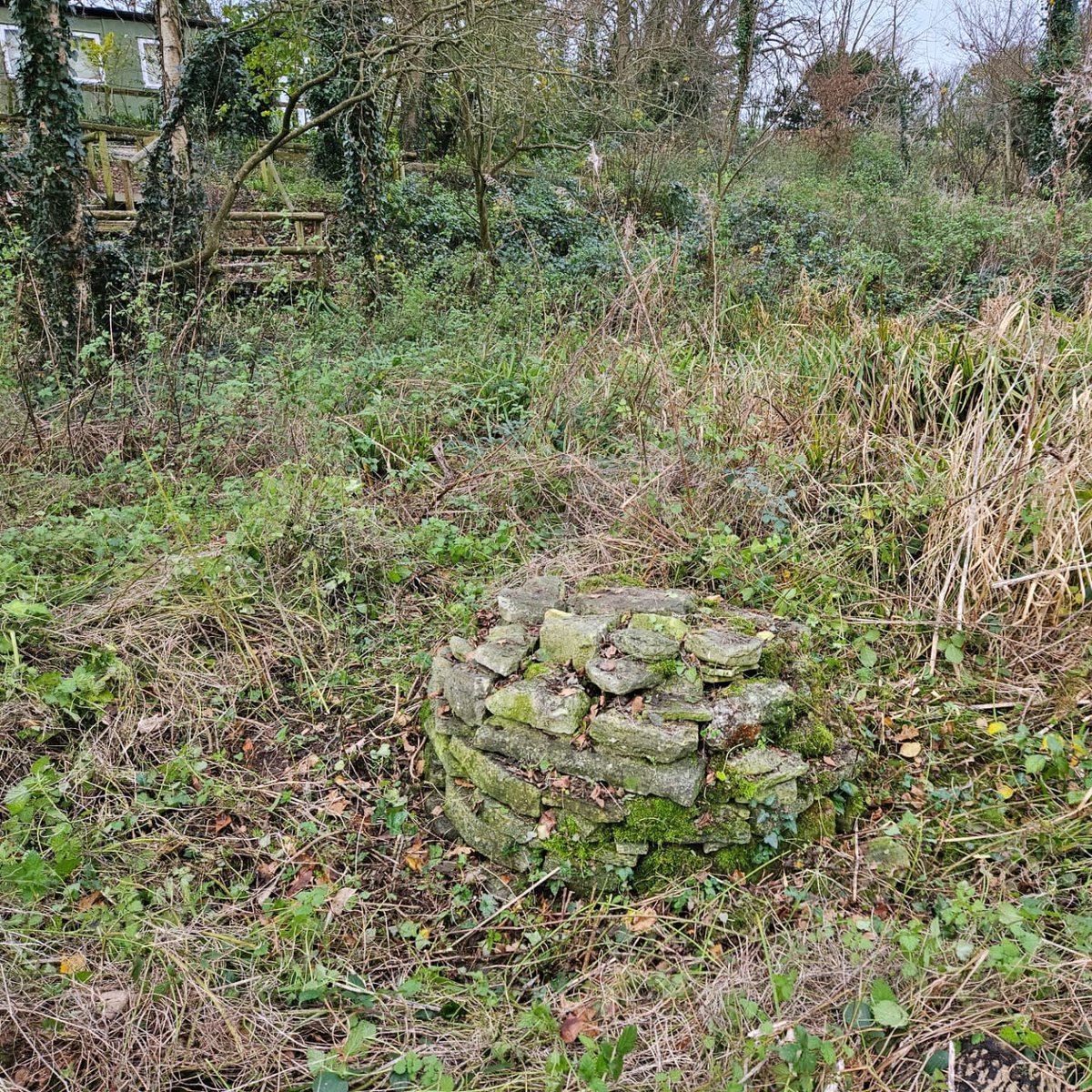 When it's quieter at the Centre it's time to get out in the grounds and look after our wildlife habitats. Matt and Loki cleared up our reptile refuges and amphibian hibernaculum today ready for Spring and Summer <a href="/dorsetwildlife/">Dorset Wildlife Trust</a> <a href="/ARC_Bytes/">Amphibian and Reptile Conservation</a>