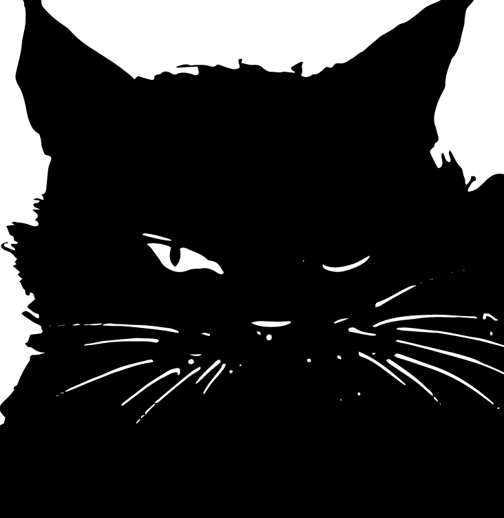 CatsumiCoin's tweet photo. GM.  Like SUMI, you too can transform into something amazing.  Shift your mindset and pounce on new opportunities.  $SUMI https://t.co/1oA3DIImCg
