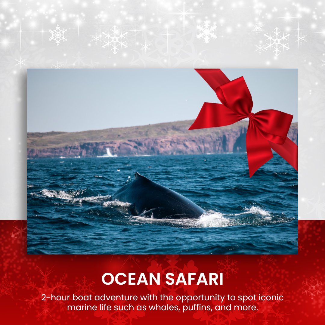 Ocean Quest tweet media