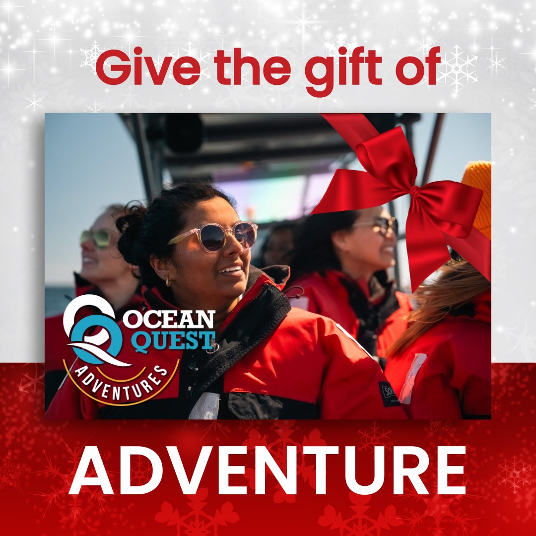 Ocean Quest tweet media
