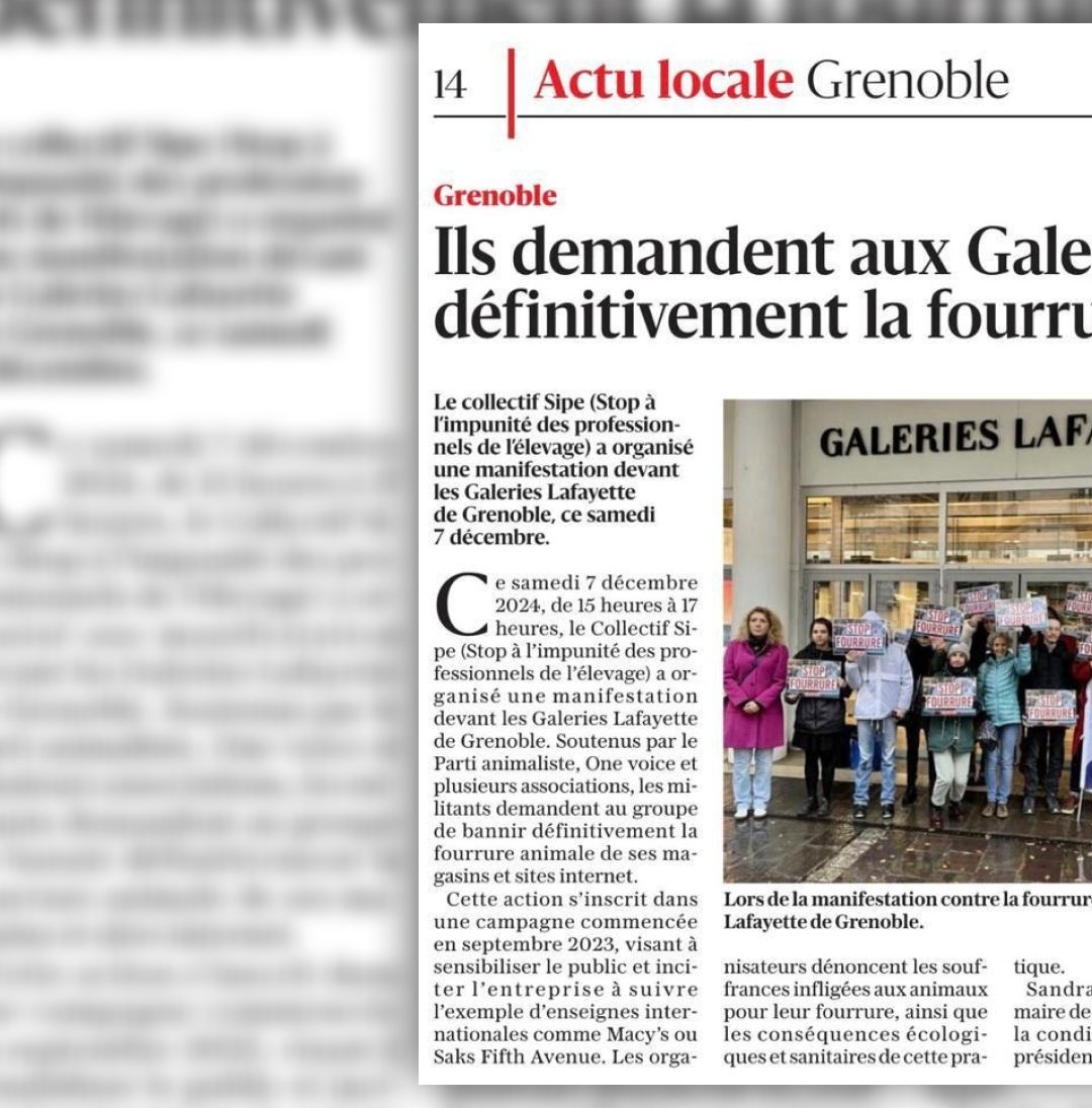 Collectif SIPE tweet media