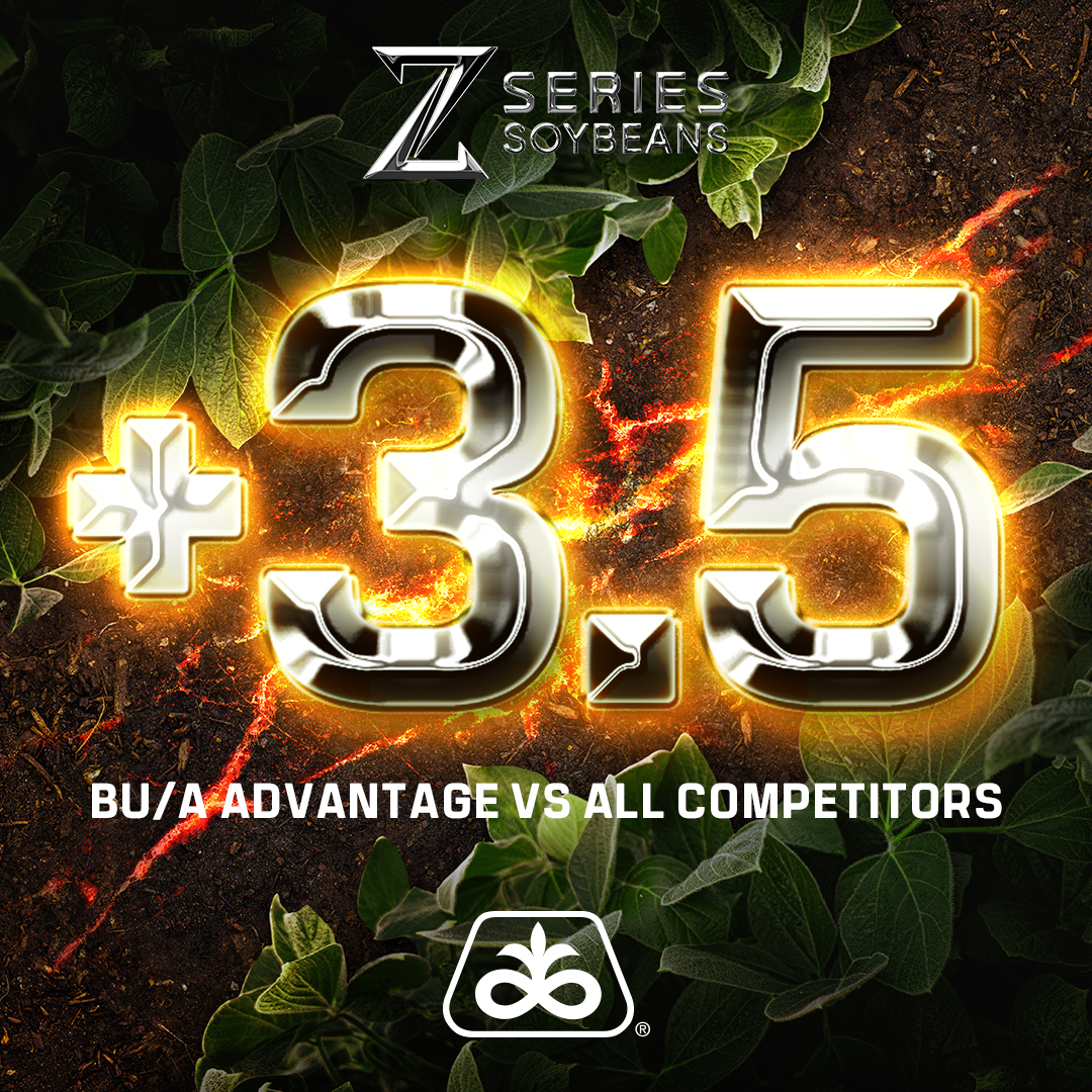 PioneerSeeds's tweet photo. 🏆 In 2024, Pioneer® Z-Series soybeans delivered a 3.5 bu/A advantage with a 73% win rate. 💪 Proven performance for your acres! Read more here: https://t.co/cEcT3c9ANo

#ZSeries #PlantPioneer #Soybeans https://t.co/Ze4Uds6X5v