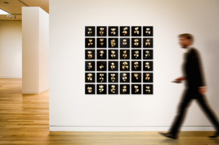 Pindar Van Arman 💎 tweet media