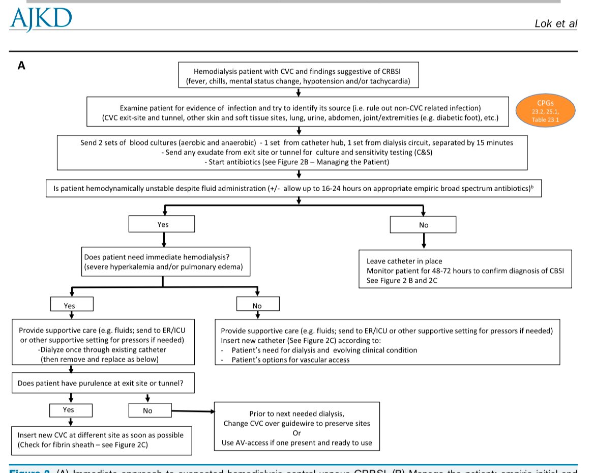 🫘🎯Approach to hemodialysis catheter related blood stream infection 

<a href="/AJKDonline/">AJKD</a> core curriculum 

ajkd.org/article/S0272-…