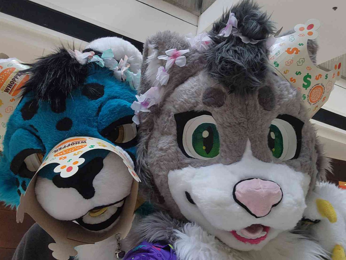 MFF was tons of fun and my first con suiting. Loved meeting all the new sillies
#MFF2024