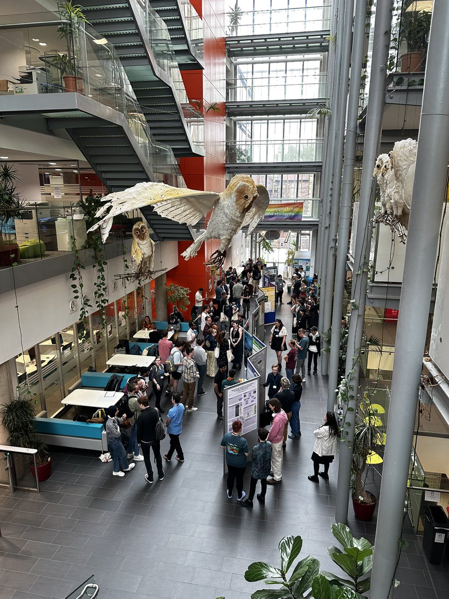 New Publication! (A very short, none technical one)

Check out our Progressive Palaeontology 2024 conference report🦖🦕

Our report reviews the events of this year’s ProgPal conference, and provides an example and advice for future organisers of student conferences to follow!