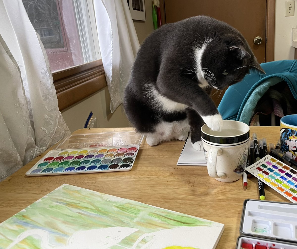 runswstilettos's tweet photo. The Artist’s Cat, Tuesday edition. #cat #cats #tuxedocats #artist #theartistsway #thecatsway #painting #art #creativeprocess #roadblocks #catsoftwitter #twittercats https://t.co/Rv5A2WPxEy
