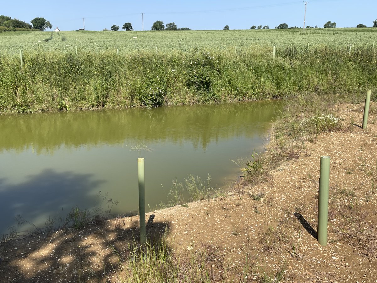 CarbonStoreuk's tweet photo. 46,000 trees were planted across 3 compartments on this farm in #Buckinghamshire.

Working closely with the farmer, we completed all the  documents for validation of the project by the Woodland Carbon Code. our team designed the woodland creation plan, applied for the EWCO grant https://t.co/V6FdlIj5f5