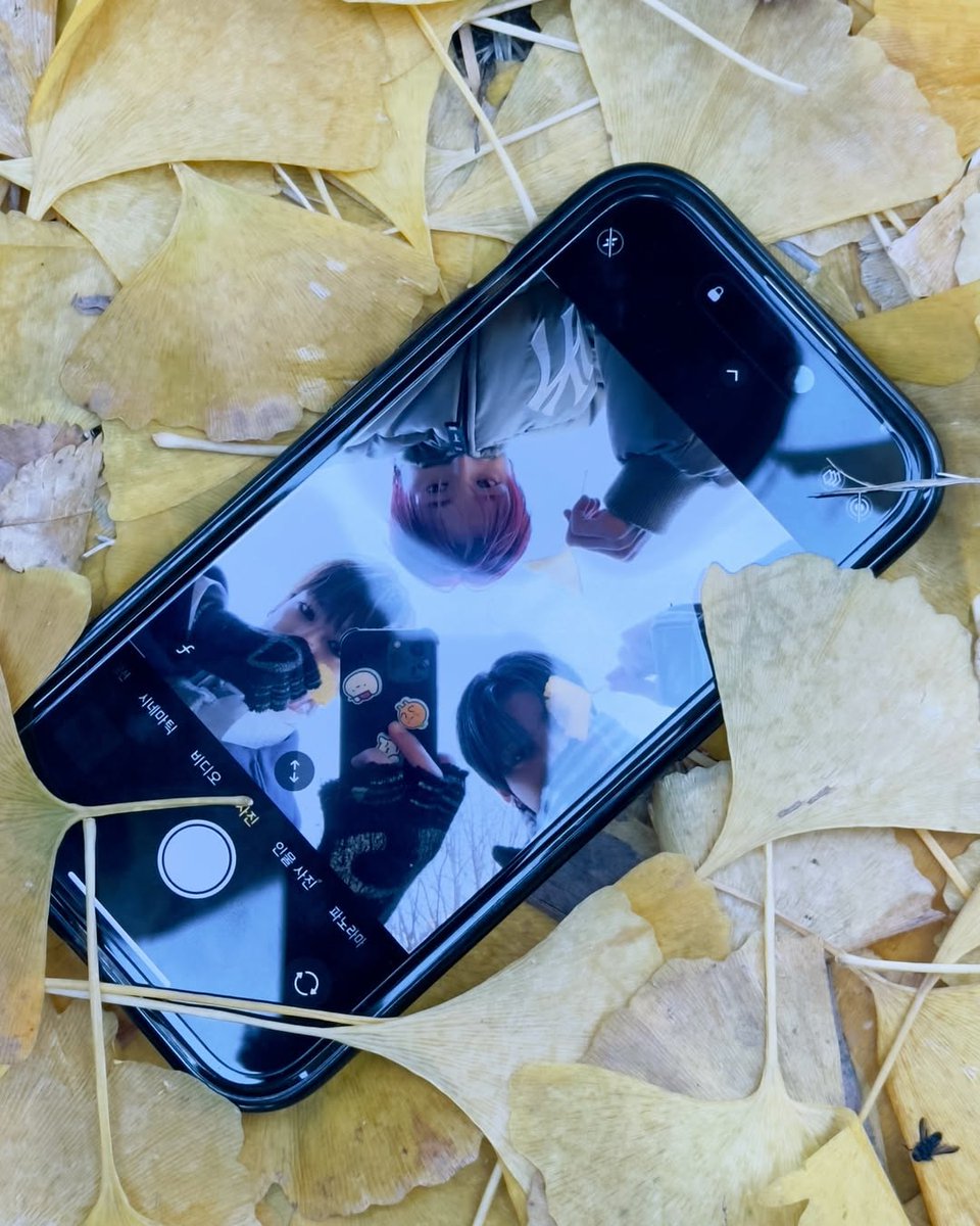 nexztuyu's tweet photo. 🍁🍁 #NEXZStyle #NEXZVibe https://t.co/C6DAYaQOxE