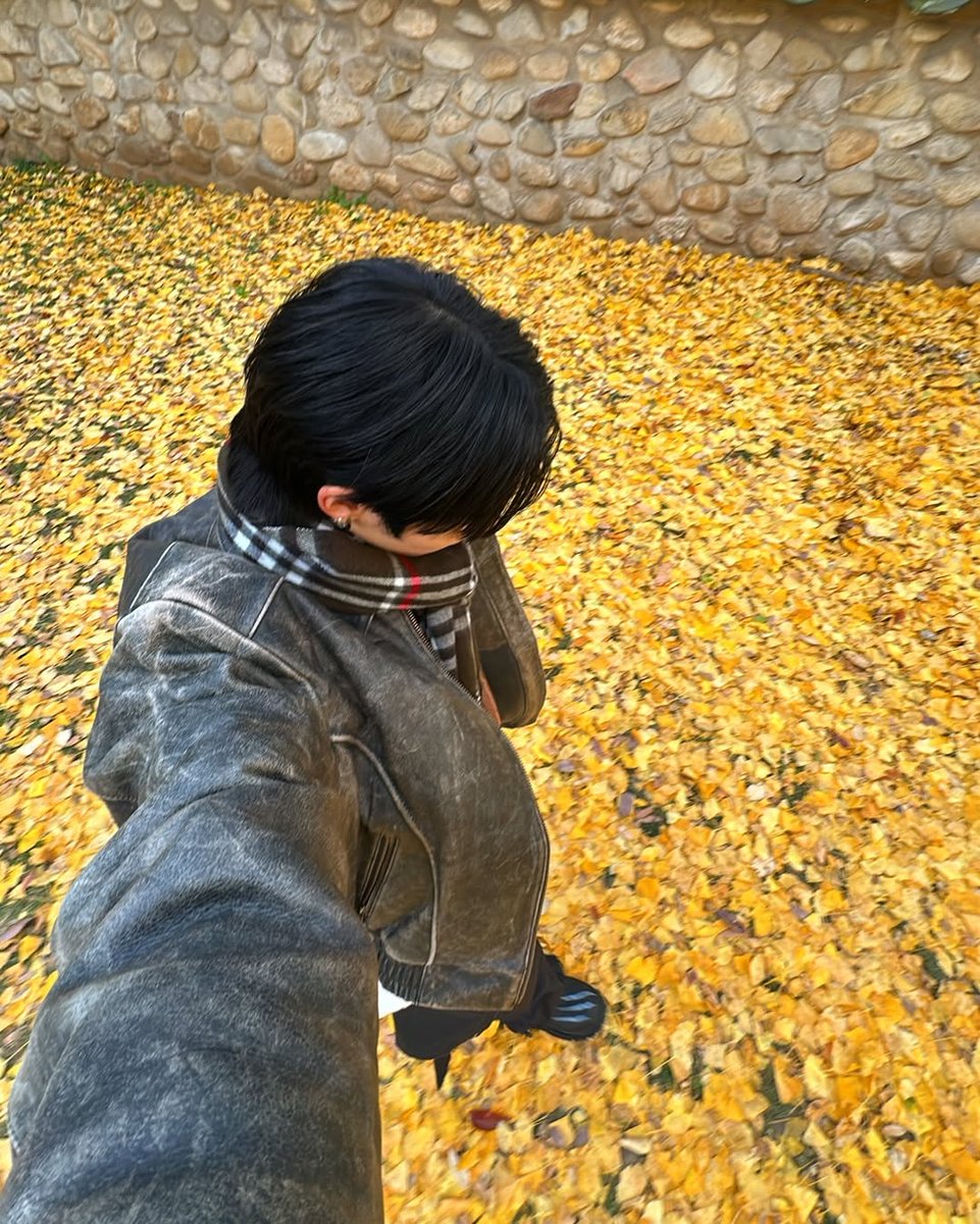 nexztuyu's tweet photo. 🍁🍁 #NEXZStyle #NEXZVibe https://t.co/C6DAYaQOxE