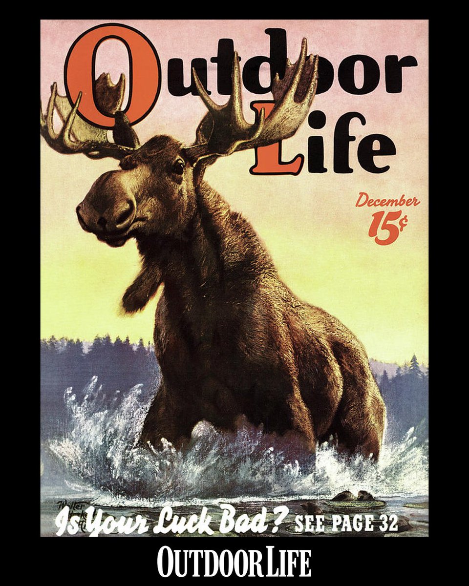 outdoorlife's tweet image. You'll be seeing some Christmas covers soon, but before we get there, we couldn't resist sharing one of our favorite December covers from 1939.

Tap the link if you’re interested in owning this cover: trib.al/EW1ytsT
⁠
#hunting #huntingseason #moosehunting #mooseseason