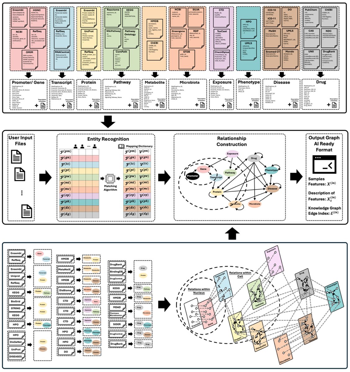 razoralign's tweet photo. BioMedGraphica: An All-in-One Platform for Biomedical Prior Knowledge and Omic Signaling Graph Generation https://t.co/WBJlBsKHOv https://t.co/VX60DOcoOy
