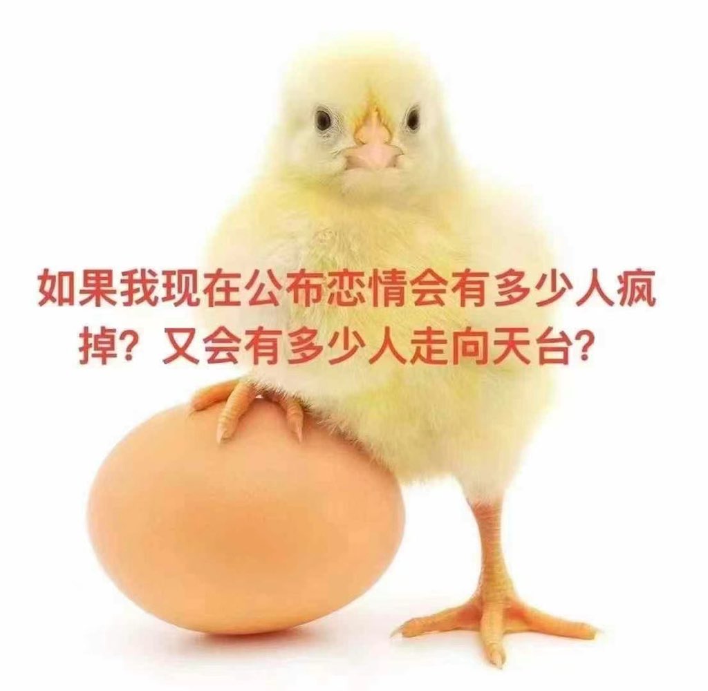 猪善被驴欺 (@staywtihyun_) on Twitter photo 