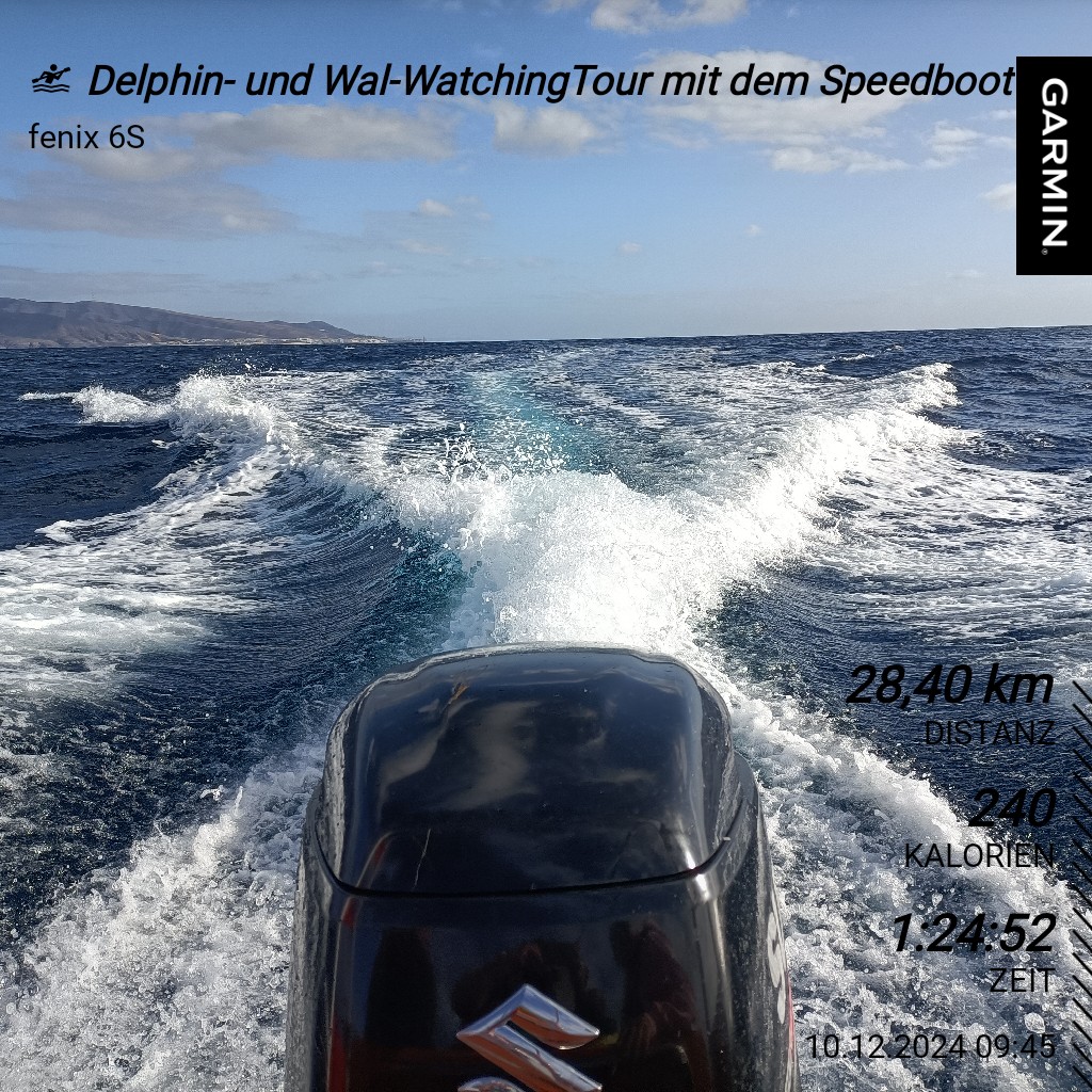 muttizwitschert's tweet image. Delphin- und Wal-WatchingTour mit dem Speedboot  #fuerteventurafullexperience #fuerteventura #morrojable #garmin #beatyesterday