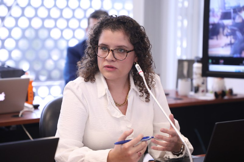 AsambleaEcuador's tweet photo. Paulina Vela, presidenta de la Junta de Política y Regulación Financiera, envía sus delegados:  María Isabel Vergara Caicedo y a Alejandro Enríquez Espinosa, quienes actúan ante @RegimenEconomAN #JuntosLegislamos https://t.co/2AiDTe5uTv
