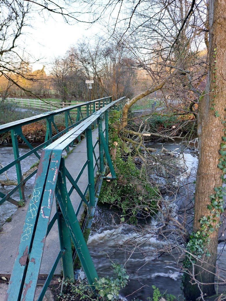 doc_malone2004's tweet photo. @deptinfra @belfastcc @SustransNI @lisburnccc No doubt the damage was caused by this tree hitting it. https://t.co/Ht9a1bOCmf