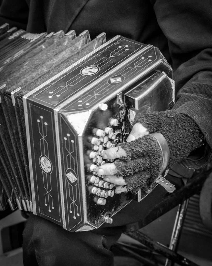 squinkbox's tweet photo. "Lagrimas de Bandoneon" 2024 Buenos Aires https://t.co/zWmVmRJi7r