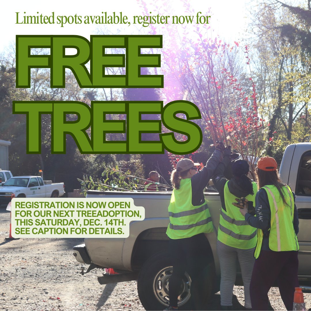 treescharlotte tweet media