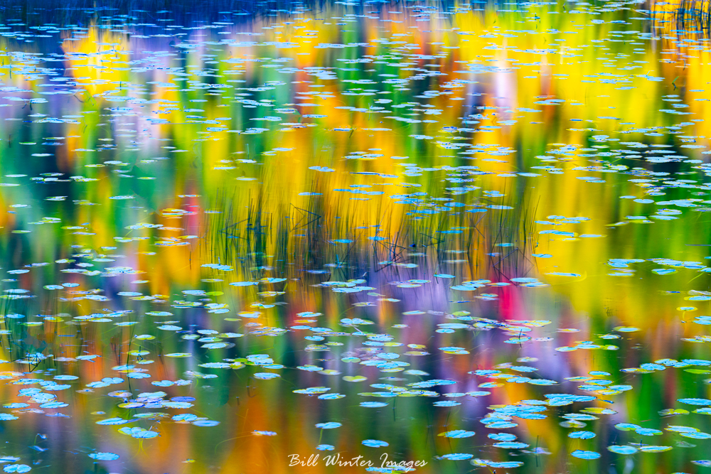 billxp845's tweet image. This Roadside Image
Pastel Colors Reflected
On Lilly Pad Pond
.⁠
.⁠
#haiku #sonyalpha #alphacollective #optoutside #createnomatterwhat #bhcreators #sonycreators #ngphotographerchallenge #acadianationalpark