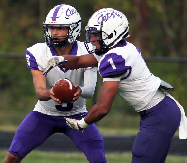 Mark Perez-Krywany tweet media