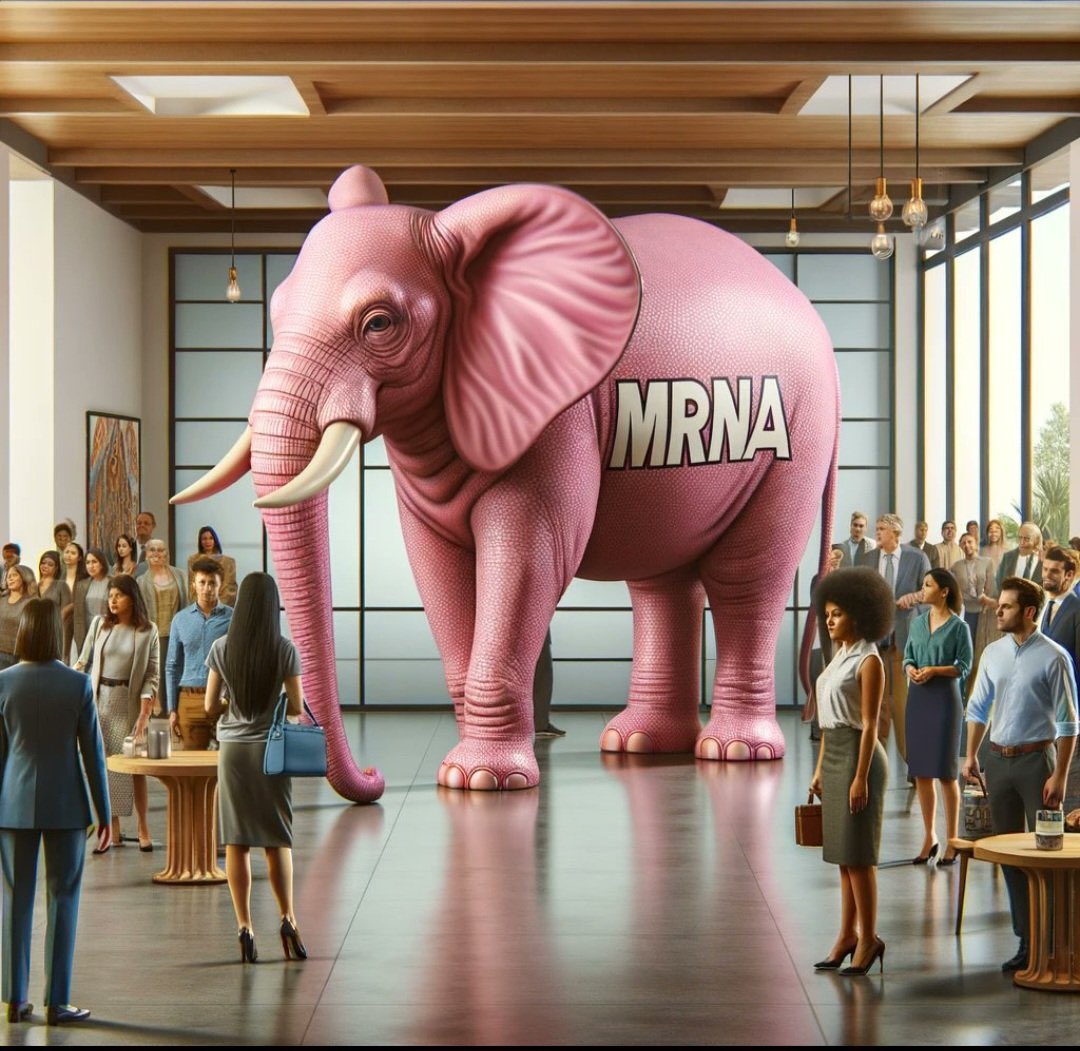 DocFlo4's tweet image. Ich habe heute einen guten Freund beerdigt, Turbo Krebs, plötzlich und unerwartet. Derlei Veranstaltungen werden absehbar deutlich an Häufigkeit zunehmen. Auf der Beerdigung hat allerdings so gut wie niemand ausgesprochen, welcher Elefant hier im Raum steht.

#Verdrängung