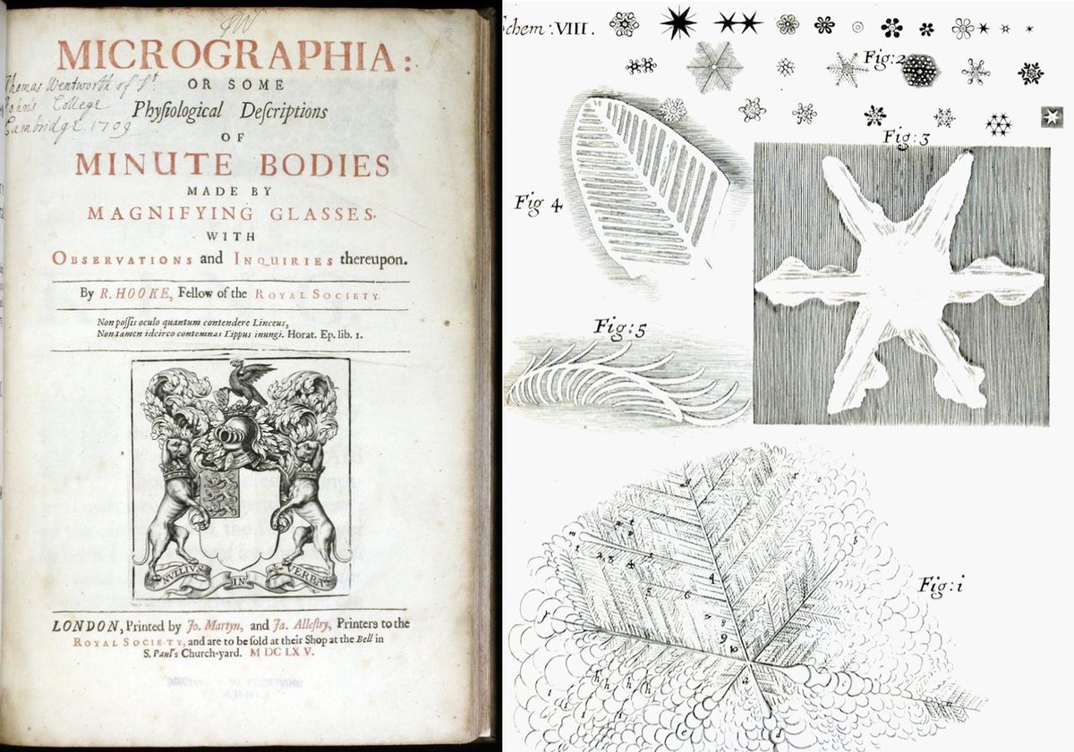 PalmeriJoAnn's tweet photo. #SpecialCollections Image-A-Day📚🔬❄️🖍️
Micrographia (1665) by Robert Hooke (#HistSci Collections @OU_Libraries) #microscopy #SciArt #NaturalHistory #ColorOurCollections https://t.co/H5y9MhZ8F4
