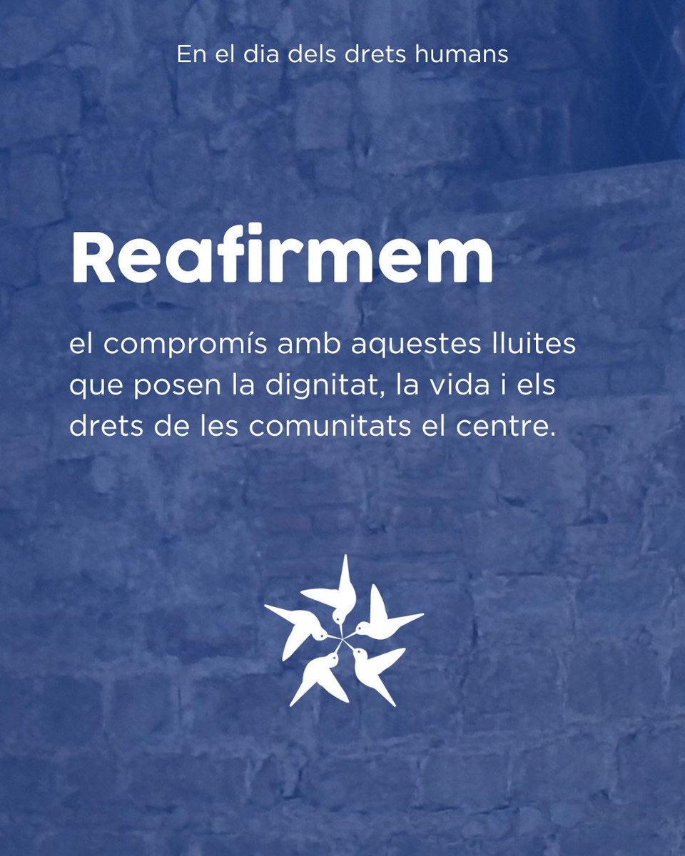 InteRed_CAT's tweet photo. Dia Internacional dels #DretsHumans 
 Des de la Taula reafirmem el nostre compromís amb les organitzacions i les persones defensores que posen la vida i la dignitat de les comunitats al centre. https://t.co/6UBLa8TA49