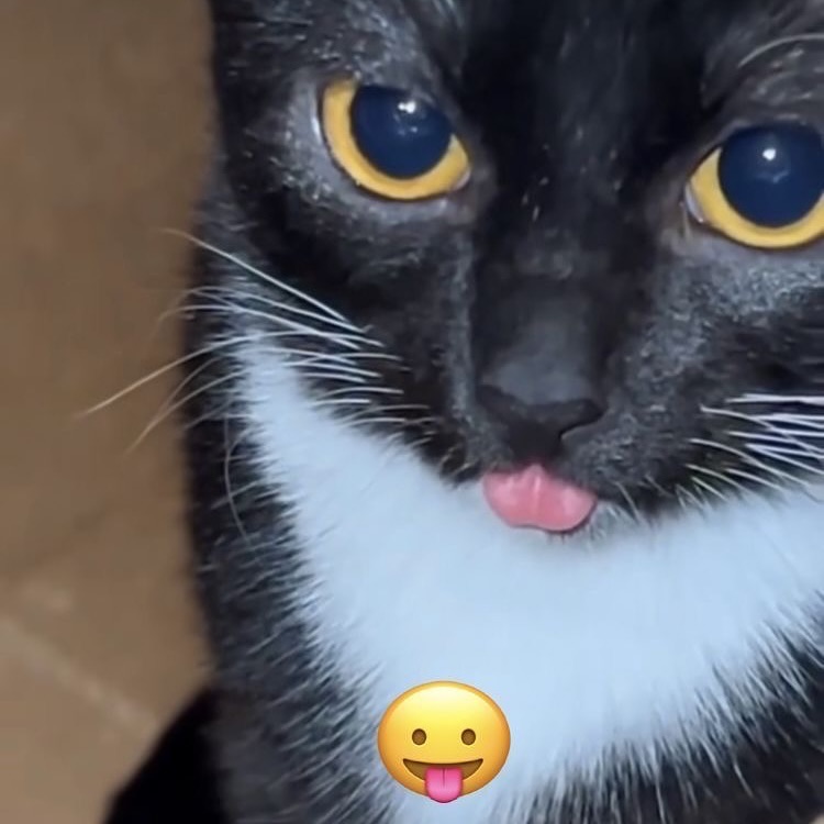 why is his toing out!?