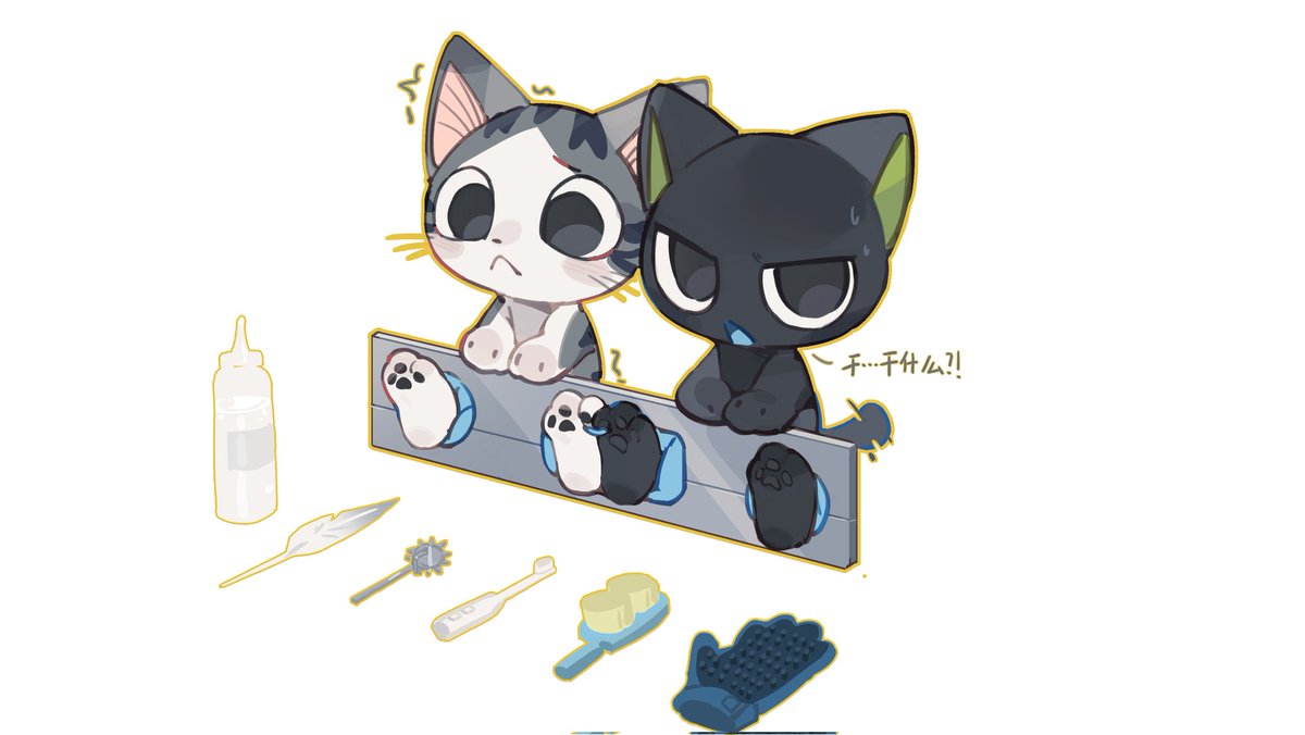 要选什么小道具和猫猫玩呢（？）