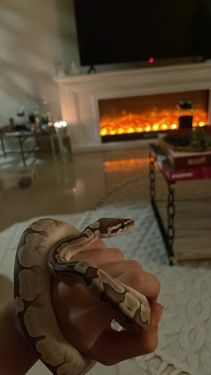 Y8lbiii he’s so cuutteee