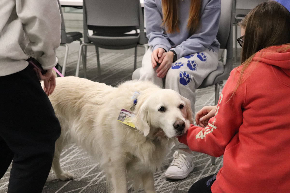 Stop by Falk Library this afternoon from 1 to 2 p.m. to visit with our favorite furry friend, Blue the therapy dog!

Then help yourself to some free snacks to fuel your studying, available until 4 p.m. each day of finals week, or while supplies last.