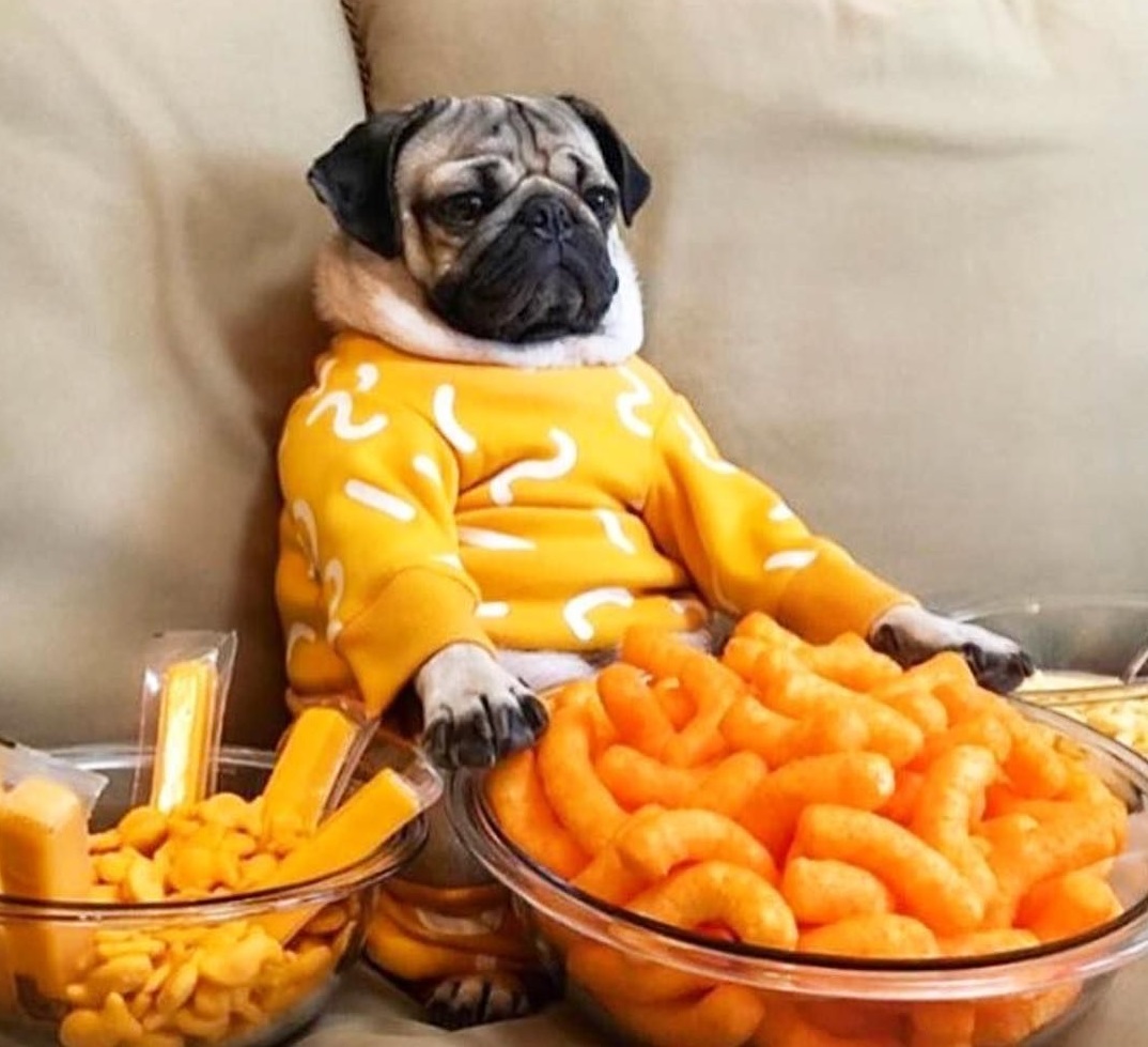LupitasDuenna's tweet photo. #JustFoundOutI have a cheese deficiency!!! https://t.co/P2DO4WVlf3