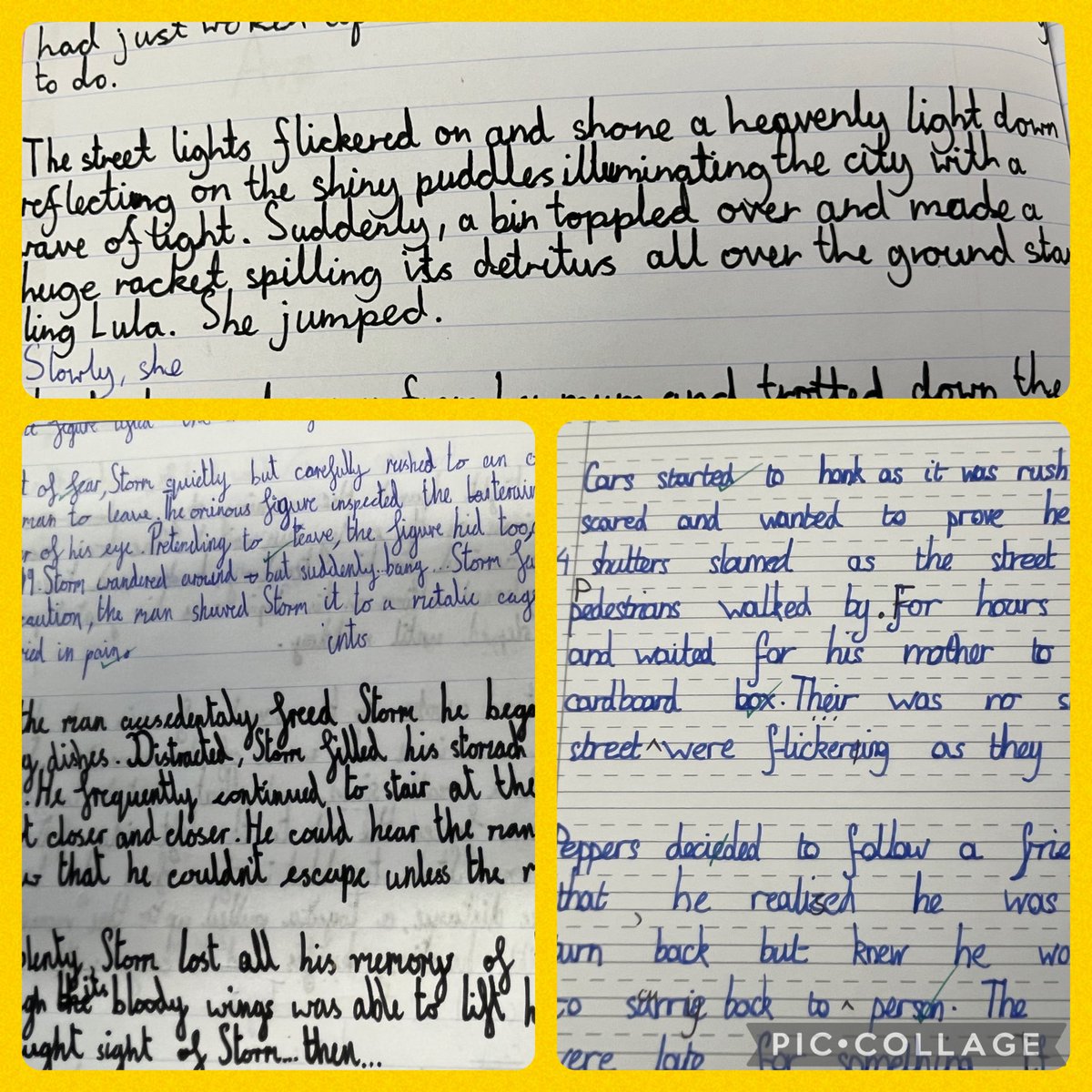 KHPAMissD tweet media